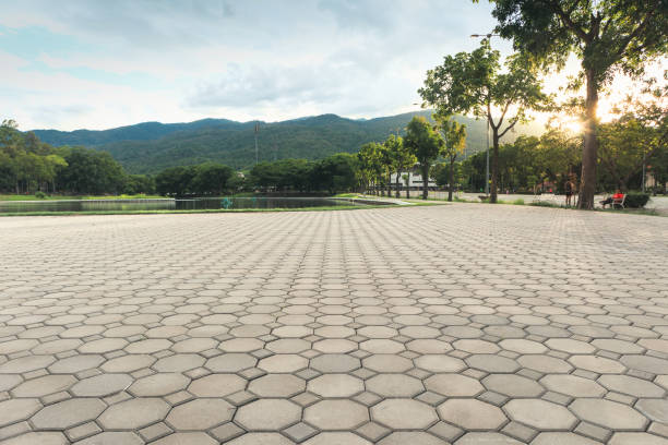 Best Driveway Paving Near Me  in Lake Tansi, TN